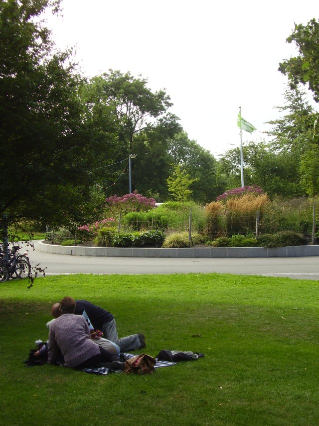 late summer near the circle