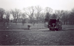 Workmen removing fencing from centre circle, 1992